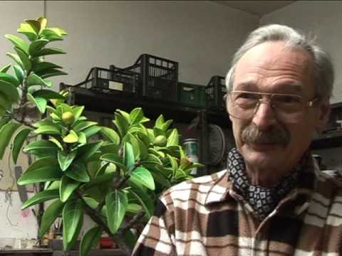 Gallery of Piero Gilardi