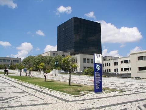 Gallery of Pedro Calapez
