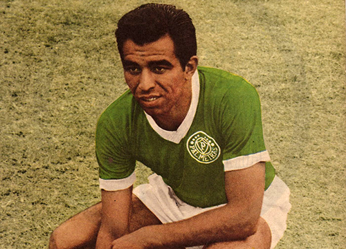 Gallery of Edvaldo Neto