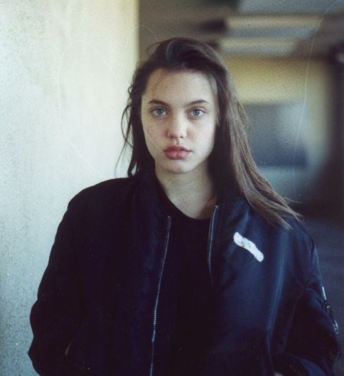 Gallery of Angelina Jolie