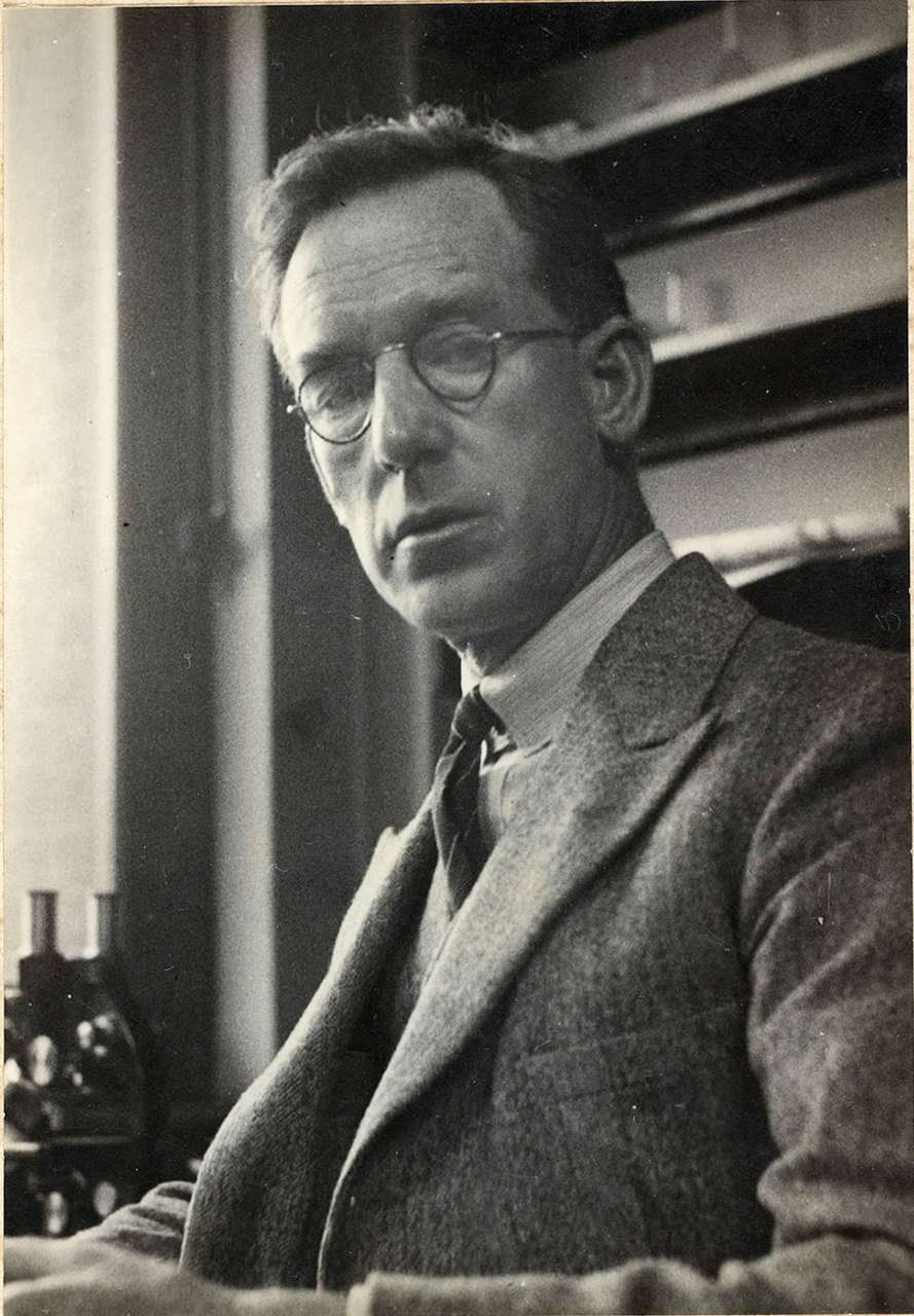 Theodore Flynn