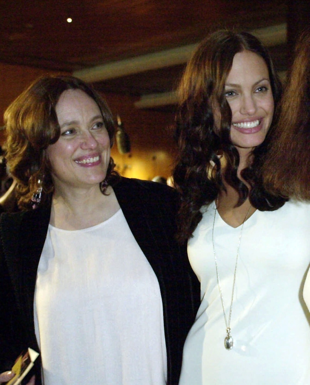 Gallery of Angelina Jolie