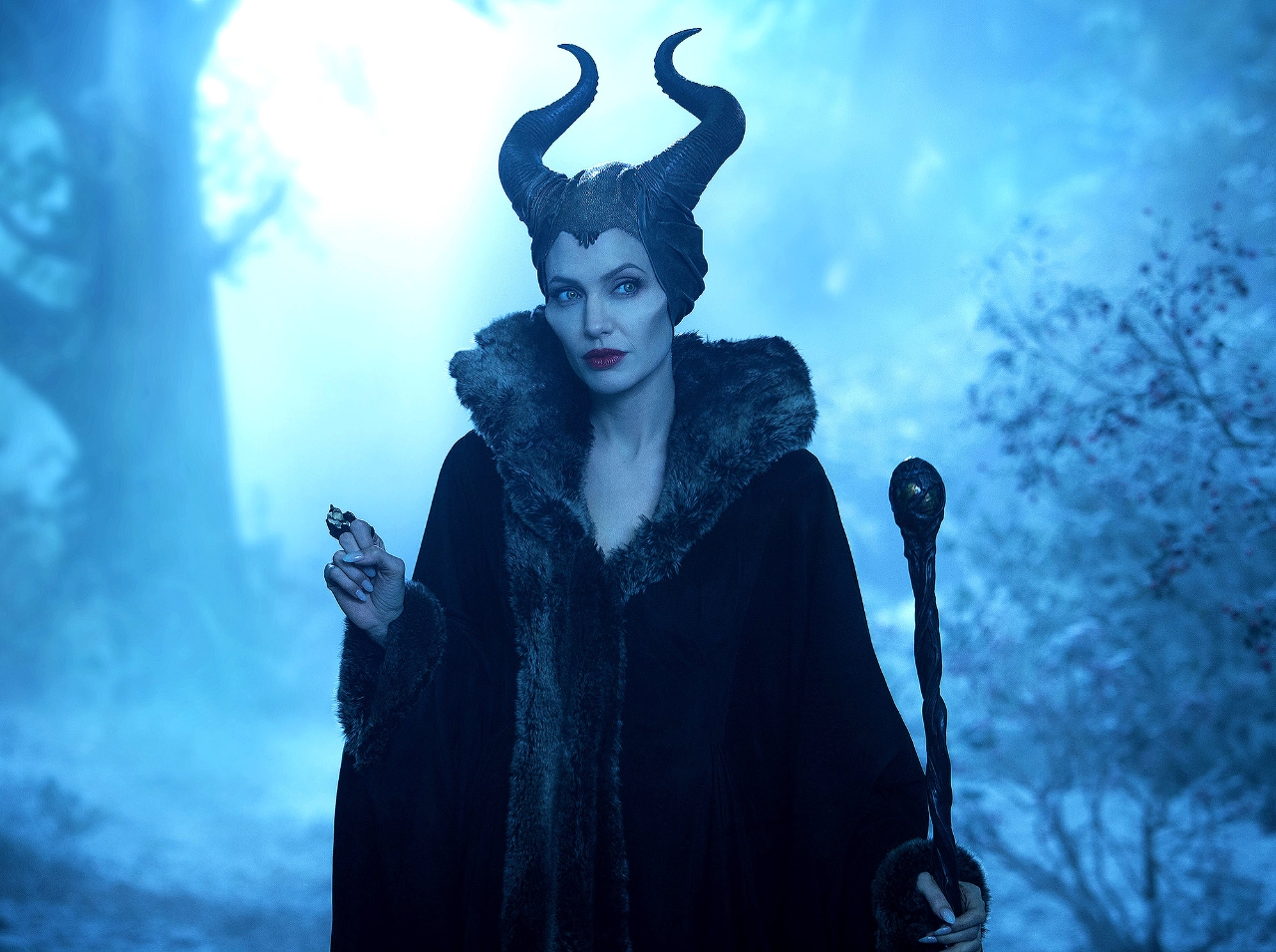 Gallery of Angelina Jolie