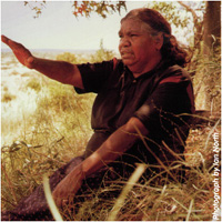 Gallery of Kathleen Petyarre