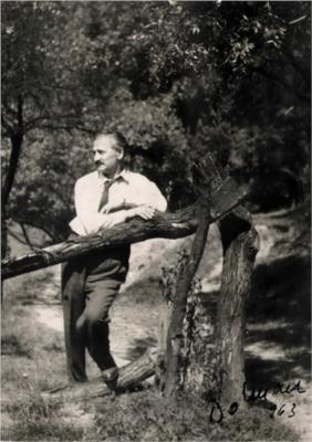 Vasile Dobrian