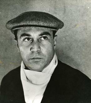 Gallery of Fikret Saygi