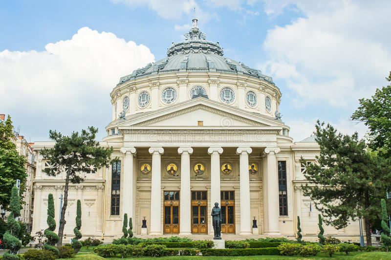 Gallery of Sever Burada