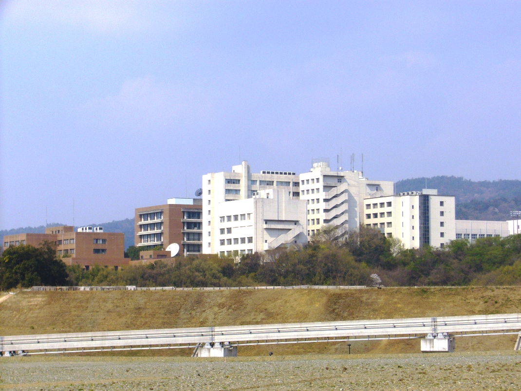 Gallery of Leiko Ikemura