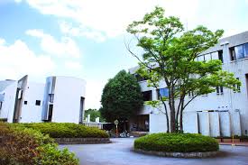 Gallery of Atsuko Tanaka