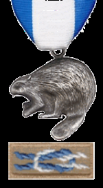 Silver Beaver Award