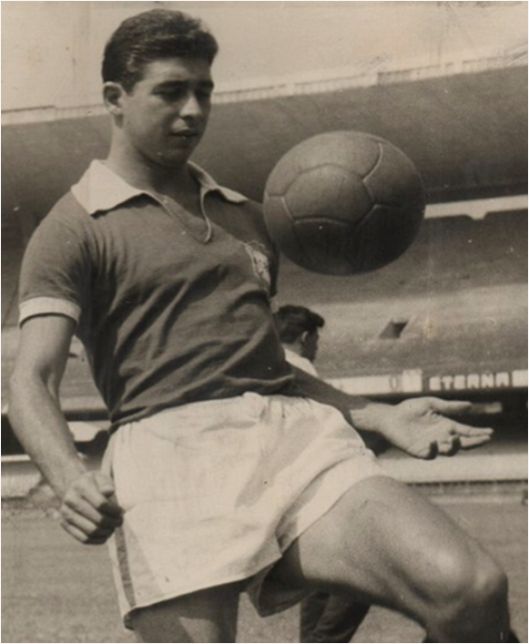 Gallery of Mauro Ramos