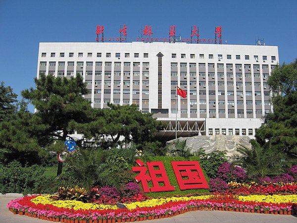 Gallery of Rongda Qu