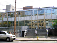 Gallery of Stanley Whitney