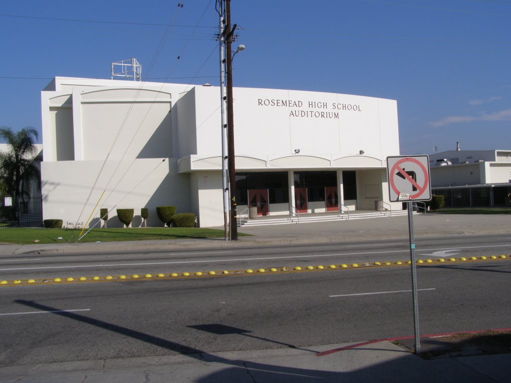 Gallery of Norman Zammitt