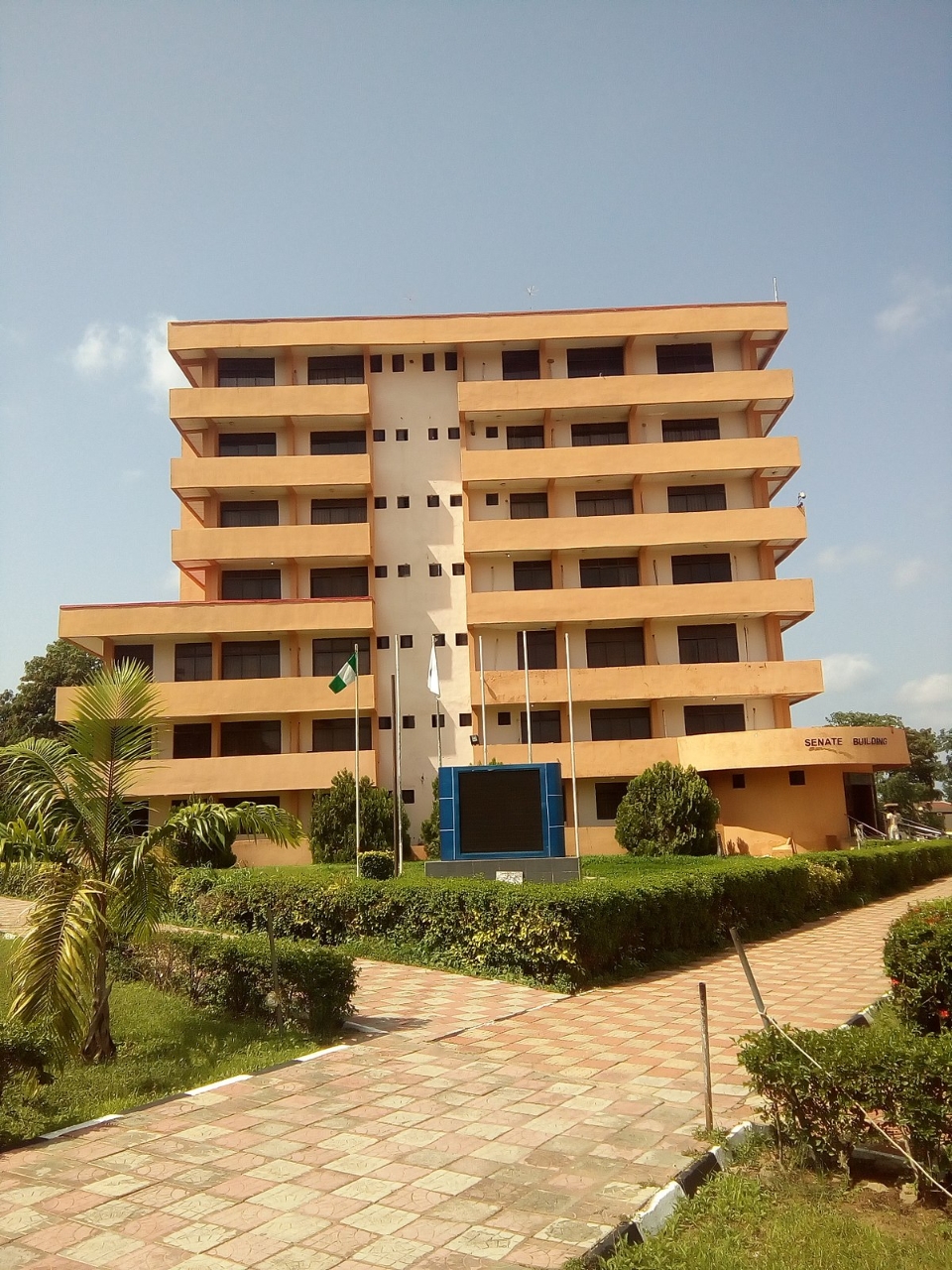 Gallery of Matthew Araoye