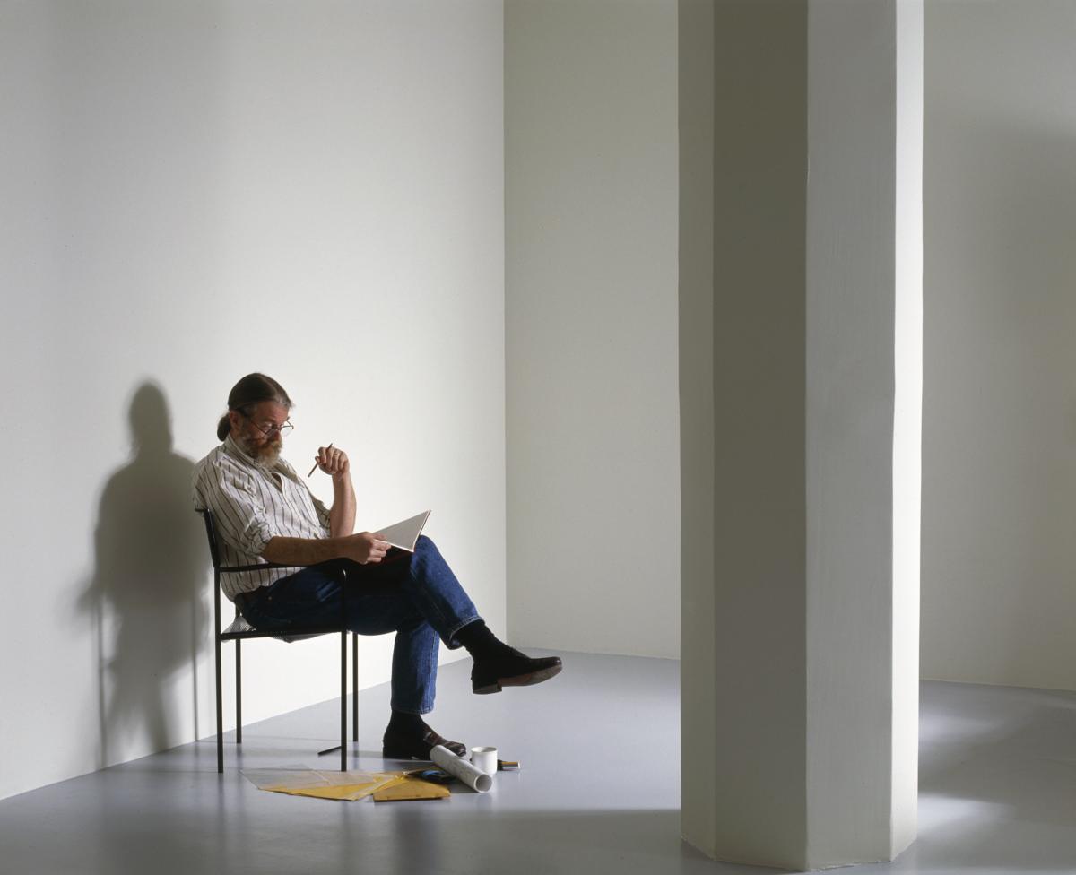 Gallery of Fred Sandback