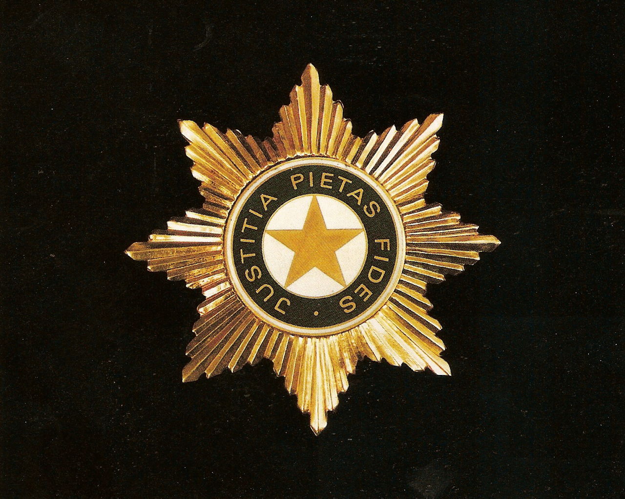 Commander of the Honorary Order of the Yellow Star