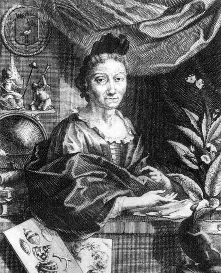 Gallery of Maria Merian