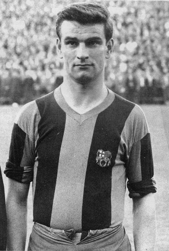 Gallery of Sándor Kocsis