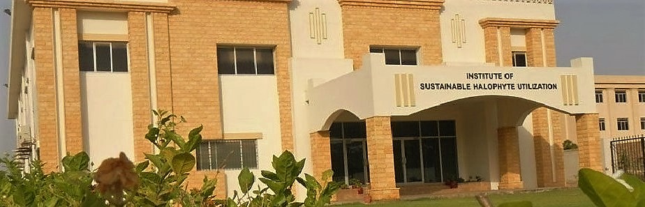 Gallery of Ashfaque Khan