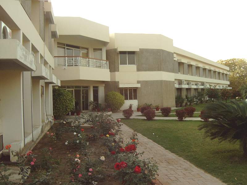 Gallery of Ashfaque Khan