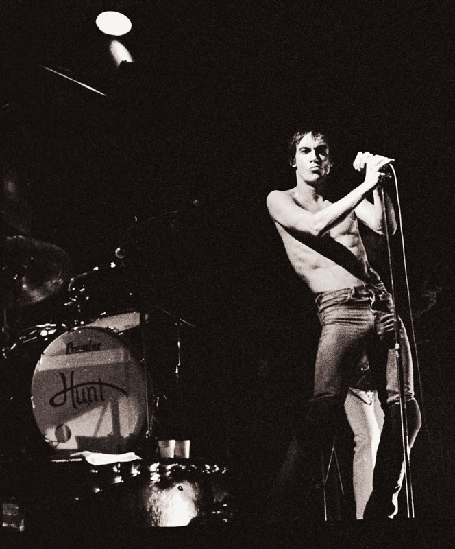 Gallery of Iggy Pop