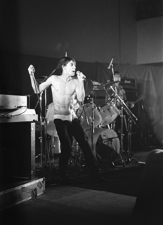 Gallery of Iggy Pop