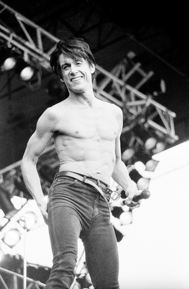 Gallery of Iggy Pop