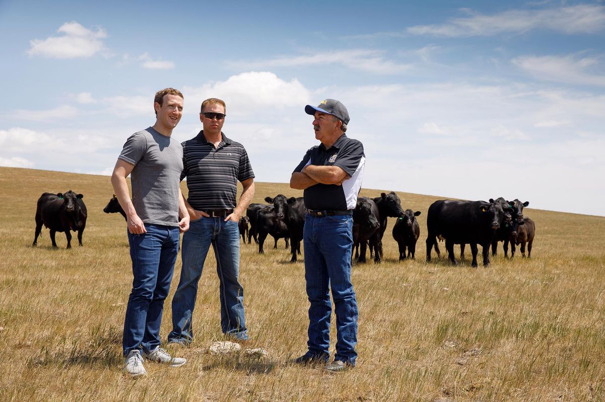 Gallery of Mark Zuckerberg