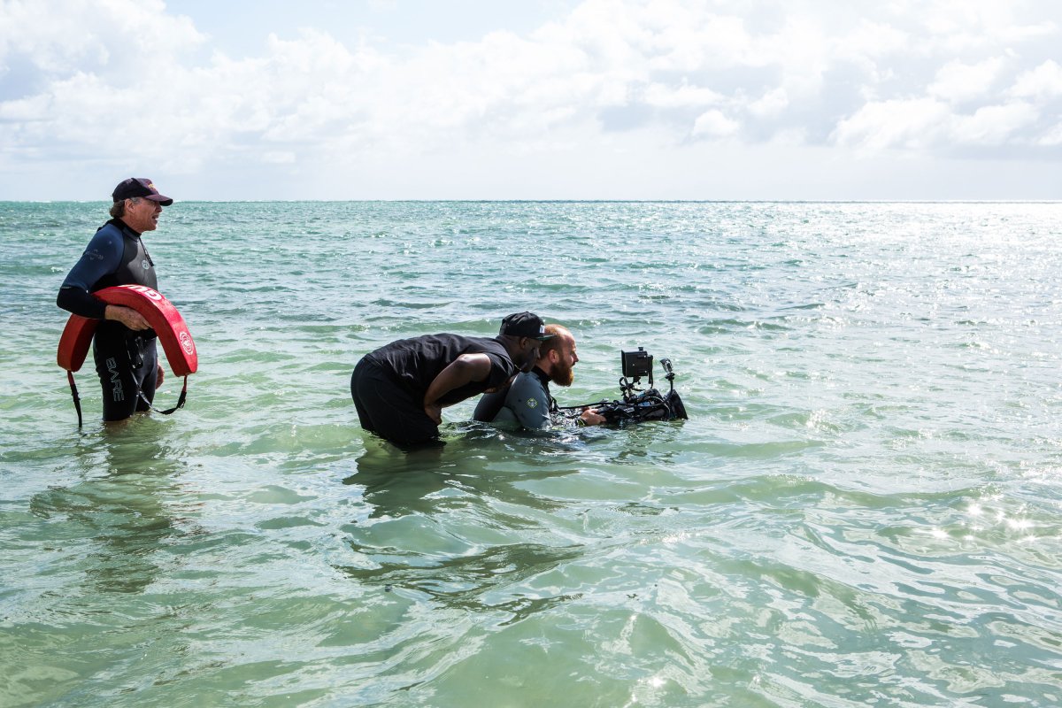Gallery of Barry Jenkins