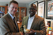 Gallery of Trevor Ncube