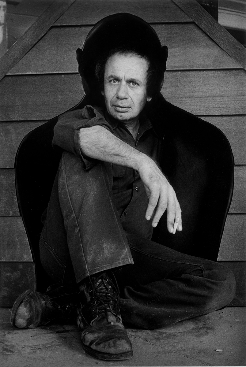 Gallery of Vito Acconci