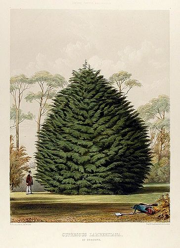 Edward Ravenscroft