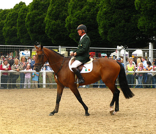 Eddie Macken