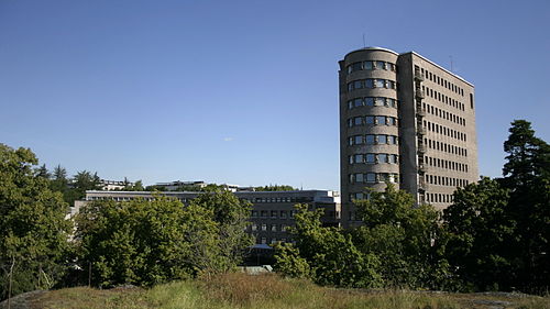 Elsi Borg