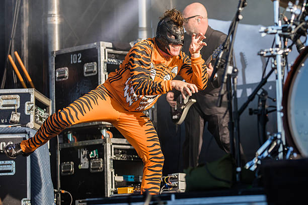 Gallery of Maynard Keenan
