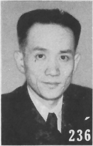 Ding 1933)