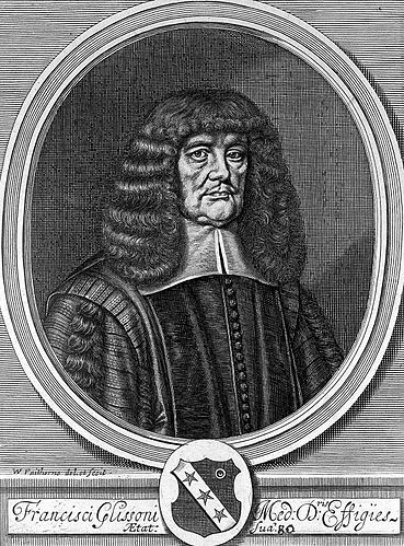 Gallery of Francis Glisson