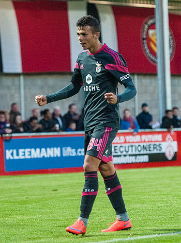 Diogo Goncalves