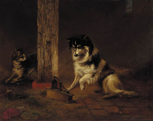 Emmanuel Noterman