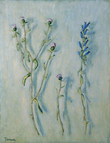 Fiorenzo Tomea