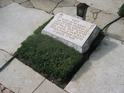 Enzo Sereni
