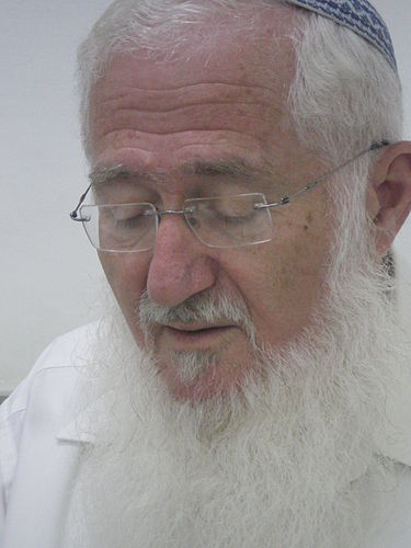 Eliezer Waldman