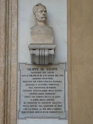 Filippo Filippi
