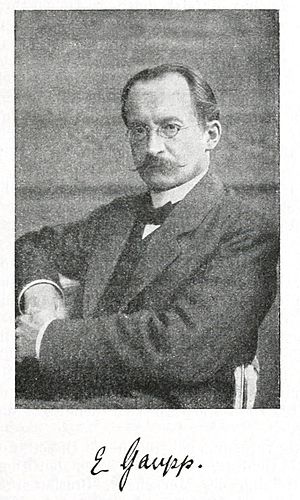 Ernst Gaupp
