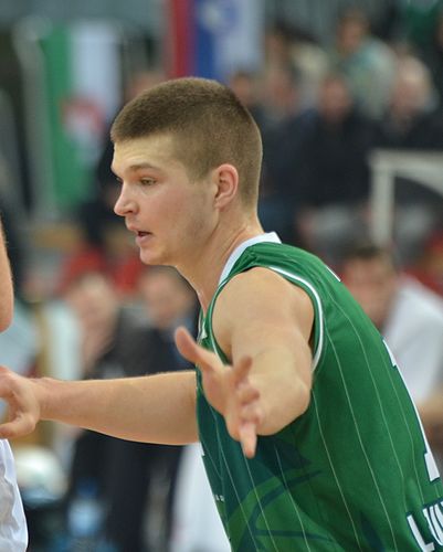 Dino Muric