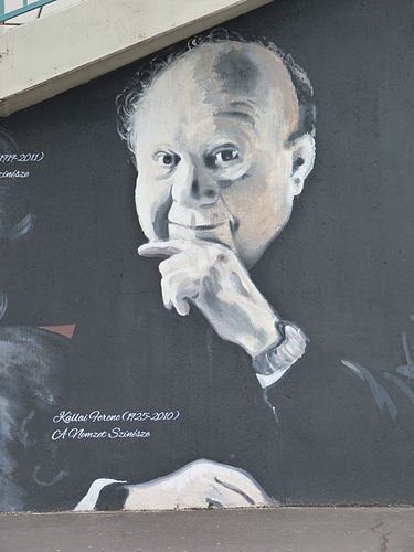 Ferenc Kallai