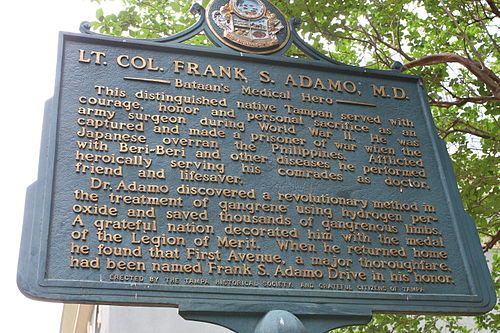 Frank Adamo
