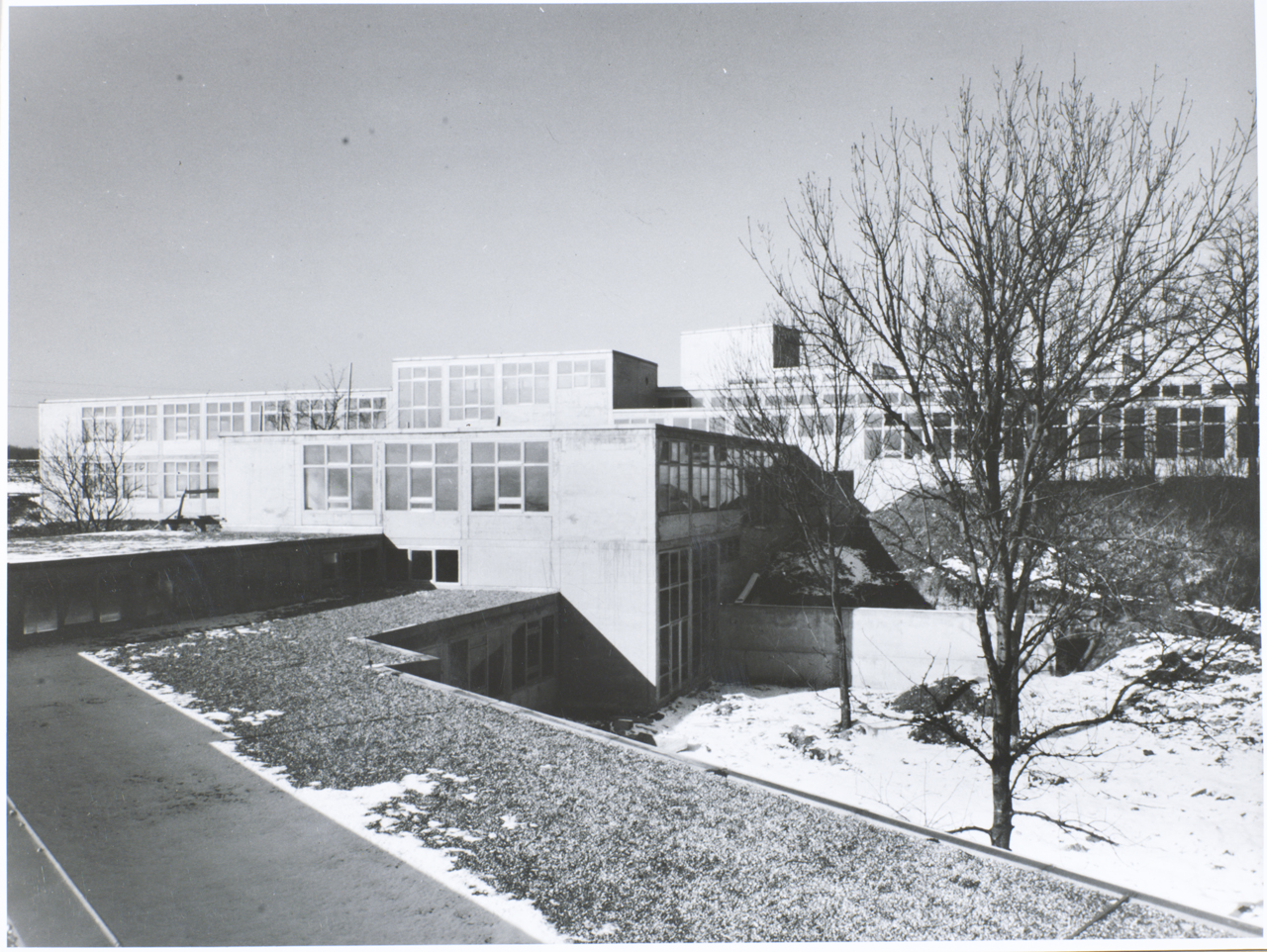 Gallery of Friedrich Vordemberge-Gildewart