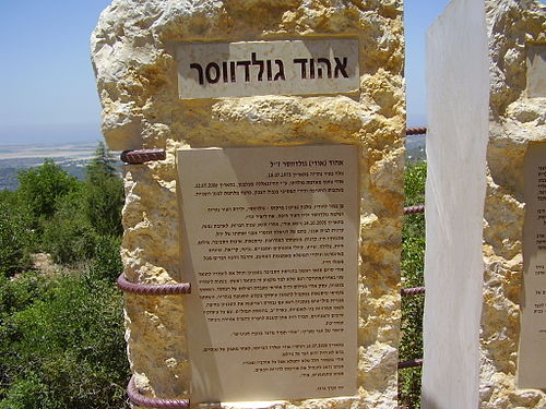 Ehud Goldwasser